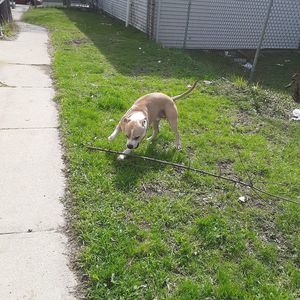 Meet your Posher, Sikorra